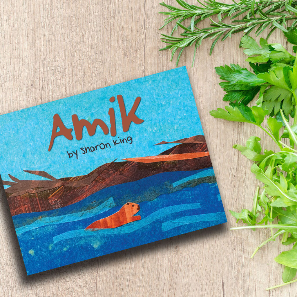 Another board book with the name Amik. Aboriginal board books.