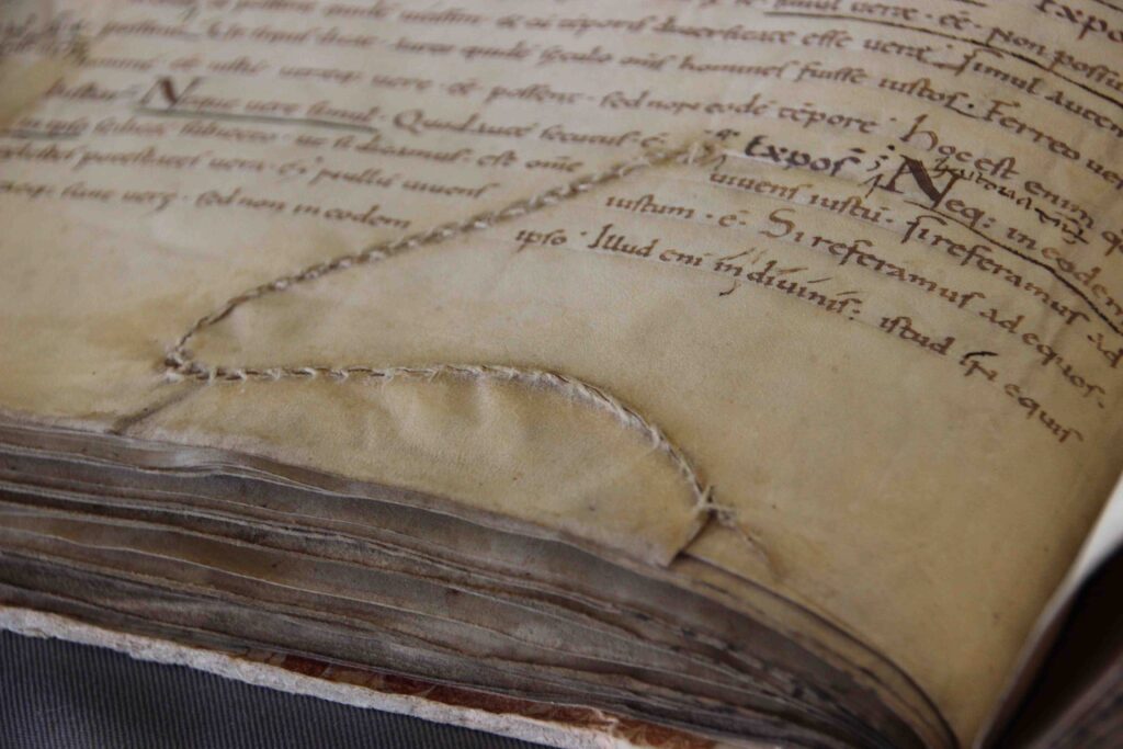 Parchment and vellum paper used for writing books restored